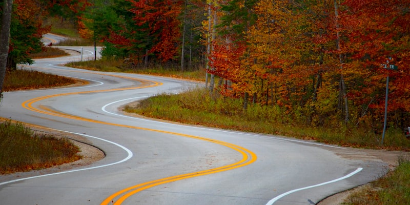 Winding road through a forest